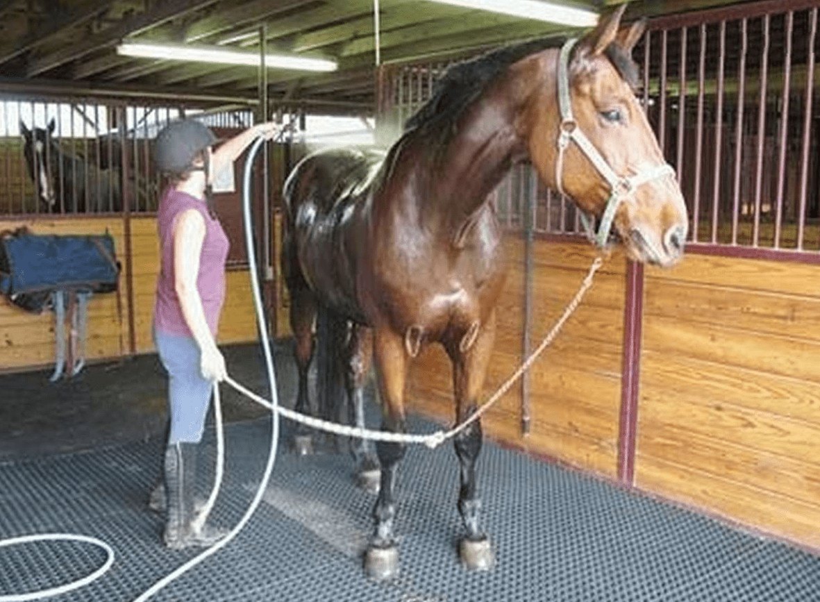 en rubber mat for livestock premises 05