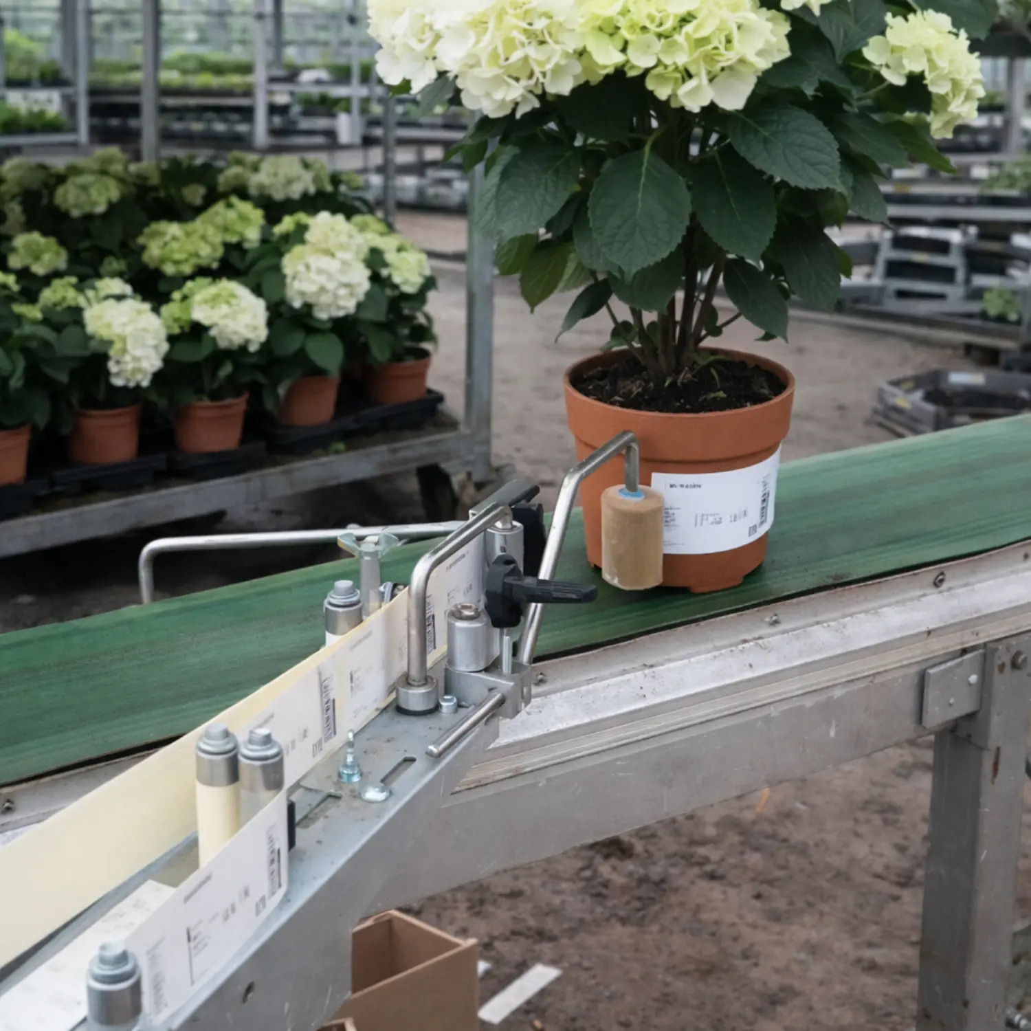 Pot labeling machine in operation applying labels to plant pots on a conveyor belt